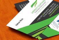 Aspect Coating Painter Business Card Designs