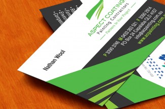 Aspect Coating Painter Business Card Designs